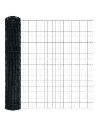 Recinzione Euro Grigio 1,6 x 10 m Ferro rivestito in PVC