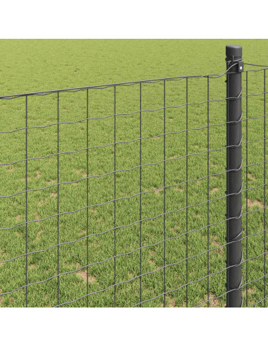 Recinzione Euro Grigio 0,8 x 25 m Ferro rivestito in PVC