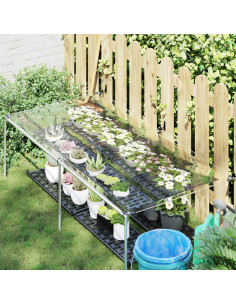 Copertura per Piante Trasparente 2,5 x 1 m PVC