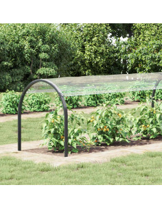 Copertura per Piante Trasparente 6 x 1,5 m PVC