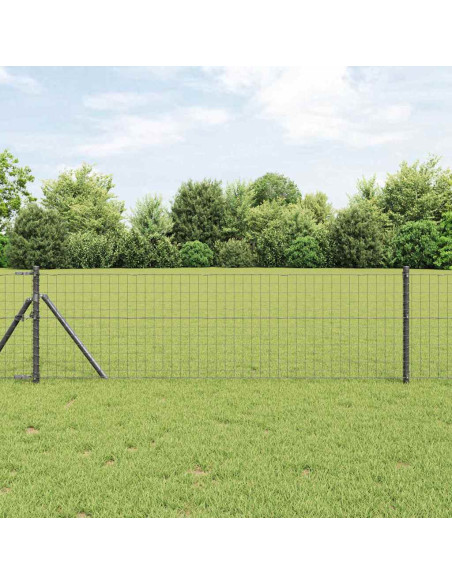 Recinzione Euro Grigio 0,6 x 50 m Ferro rivestito in PVC