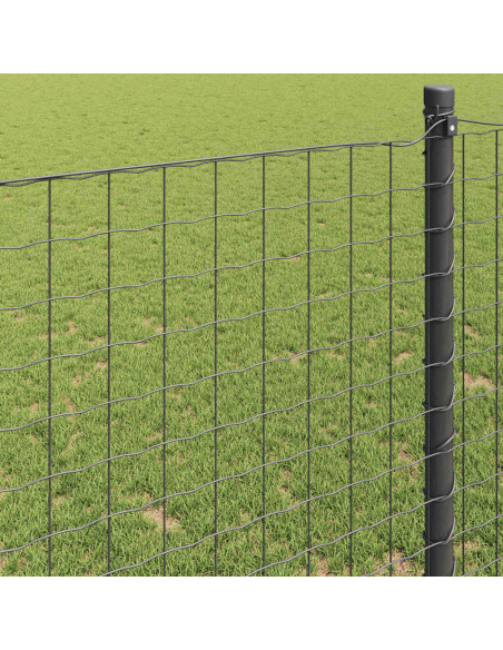 Recinzione Euro Grigio 0,6 x 50 m Ferro rivestito in PVC