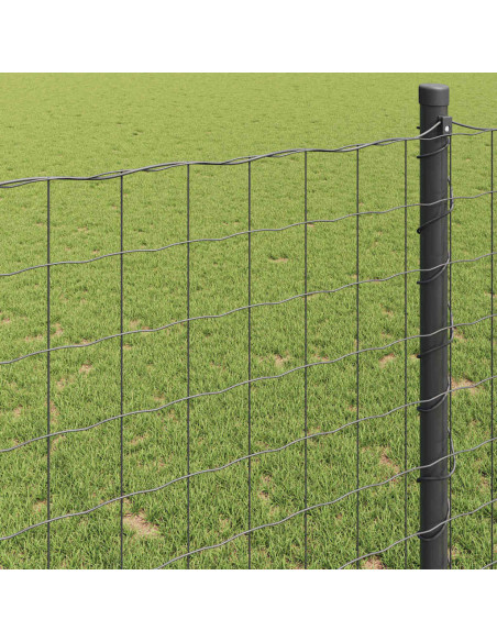 Recinzione Euro Grigio 0.6 x 25 m Ferro rivestito in PVC