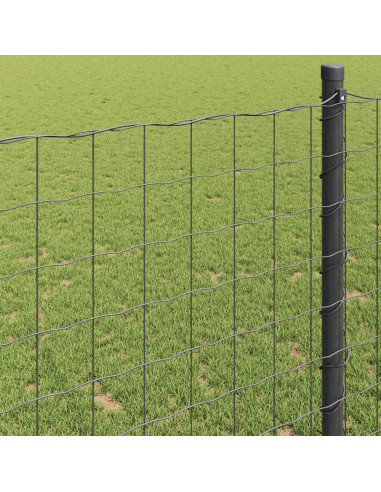 Recinzione Euro Grigio 0,4 x 50 m Ferro rivestito in PVC