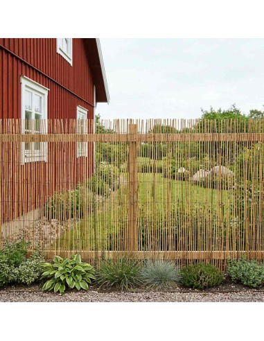 Recinzione per Giardino Carbonizzato 500 x 100 cm Giunco