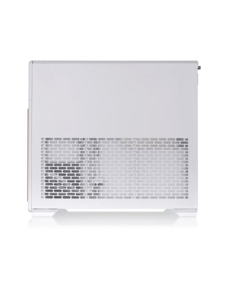 TR300 WS SNOW