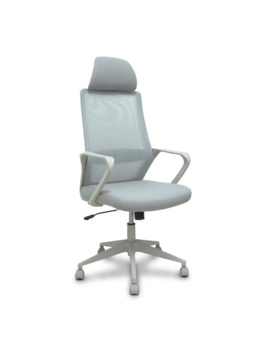 PRO534 RETE NE/TES NE/BR FIS/PT REG