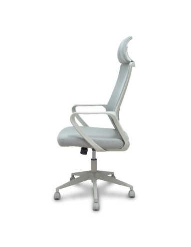 PRO534 RETE NE/TES NE/BR FIS/PT REG