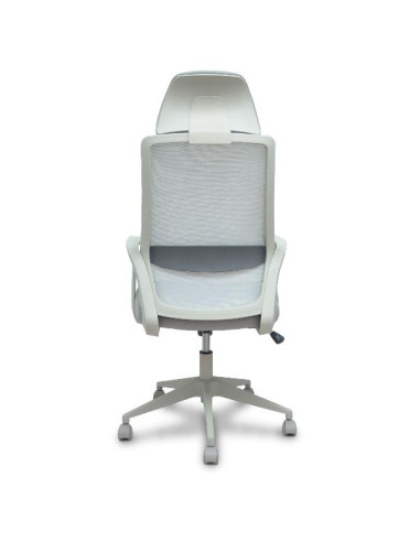 PRO534 RETE NE/TES NE/BR FIS/PT REG