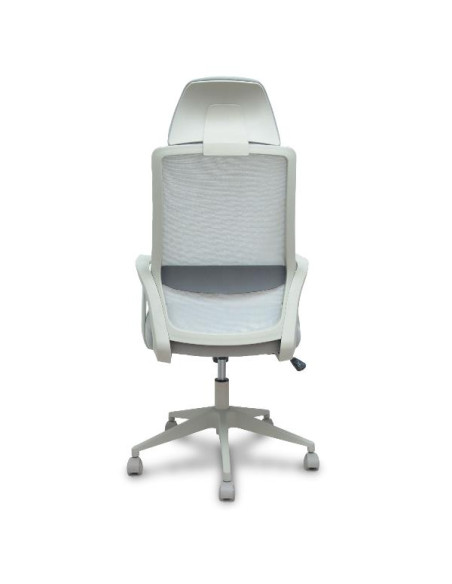 PRO534 RETE NE/TES NE/BR FIS/PT REG
