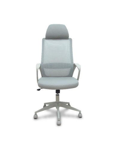 PRO534 RETE NE/TES NE/BR FIS/PT REG