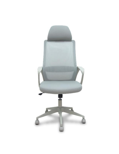 PRO534 RETE NE/TES NE/BR FIS/PT REG