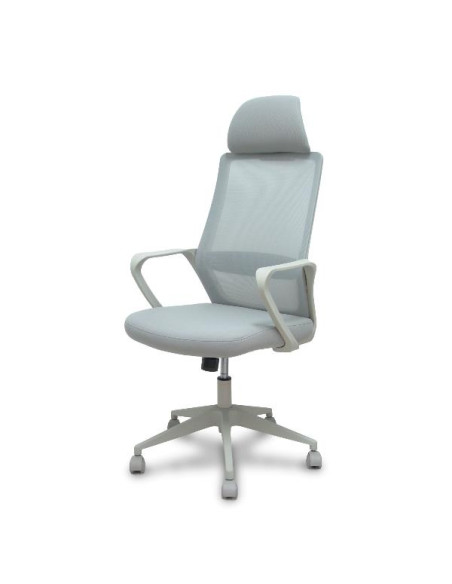 PRO534 RETE NE/TES NE/BR FIS/PT REG