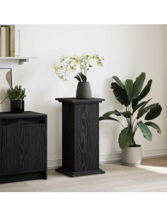 Supporto di esposizione con porta Rovere Nero 31 x 30 x 60 cm