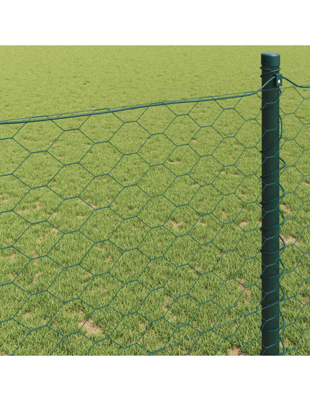 Recinzione Esagonale Verde 0,8 x 25 m PVC