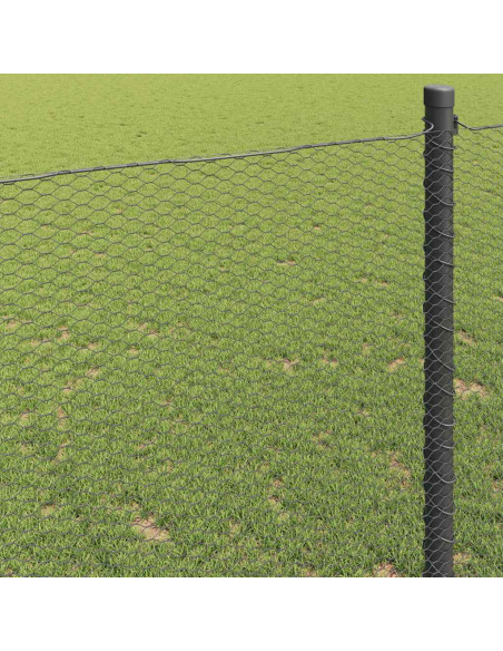Recinzione Esagonale Grigio 1 x 10 m PVC