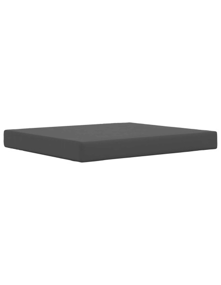 Cuscino per divano da esterno 2 pcs Antracite Poliestere