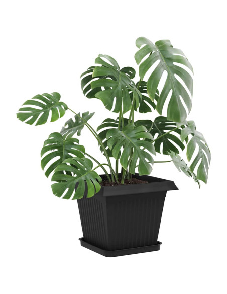 Vasi per Piante 6 pcs Nero 33 x 33 x 26 cm Plastica