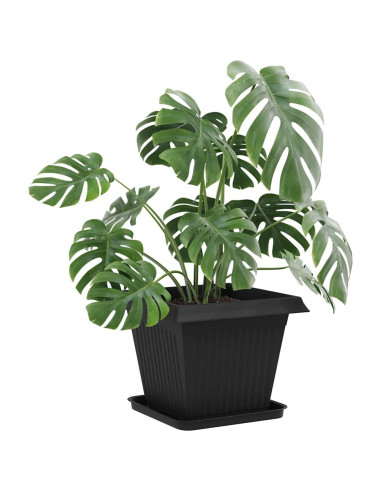 Vasi per Piante 6 pcs Nero 38 x 38 x 30 cm Plastica
