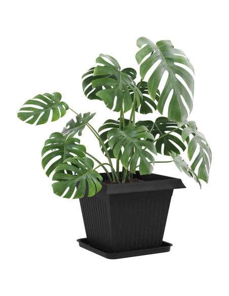 Vasi per Piante 6 pcs Nero 38 x 38 x 30 cm Plastica
