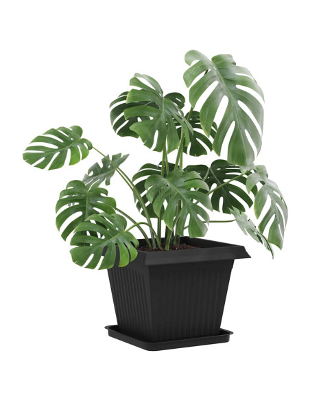 Vasi per Piante 6 pcs Nero 43 x 43 x 33,5 cm Plastica