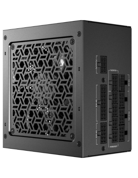 GSK 1000 EC