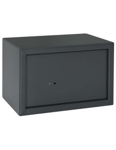 Cassaforte con blocco Grigio scuro 31 x 20 x 20 cm Acciaio