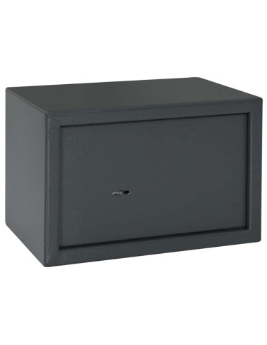Cassaforte con blocco Grigio scuro 31 x 20 x 20 cm Acciaio