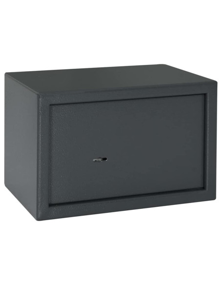 Cassaforte con blocco Grigio scuro 31 x 20 x 20 cm Acciaio