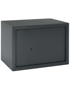 Cassaforte con blocco Grigio scuro 35 x 25 x 25 cm Acciaio
