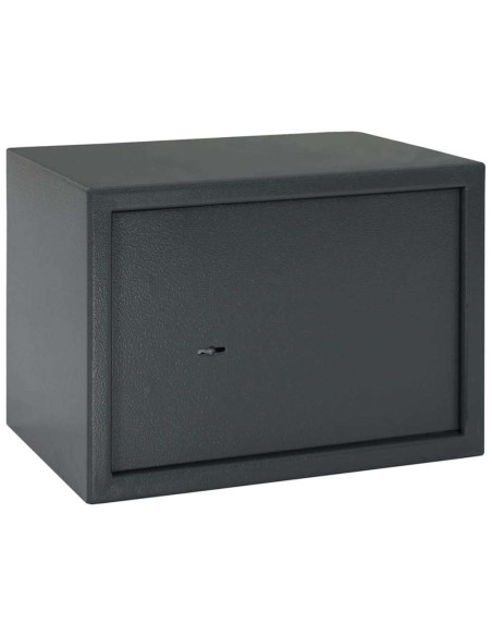 Cassaforte con blocco Grigio scuro 35 x 25 x 25 cm Acciaio