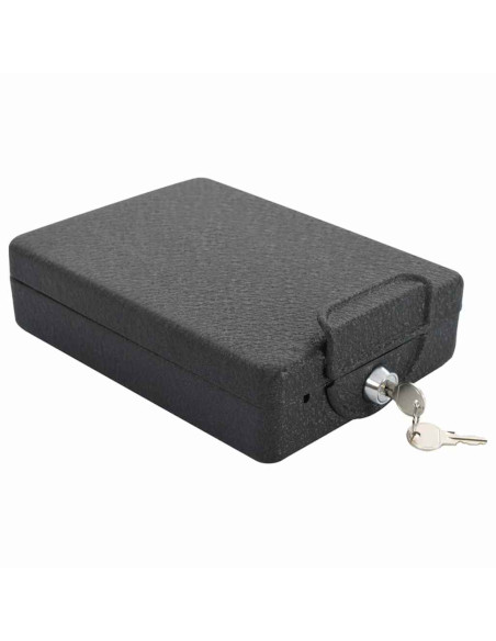 Cassaforte per Auto con blocco Nero 22 x 16 x 7 cm Acciaio