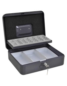 Scatola per Contanti Grigio scuro 30 x 24 x 9 cm Acciaio 2