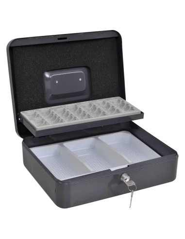 Scatola per Contanti Grigio scuro 30 x 24 x 9 cm Acciaio