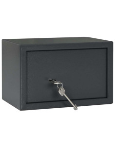 Cassaforte con blocco Grigio scuro 31 x 20 x 20 cm Acciaio 2