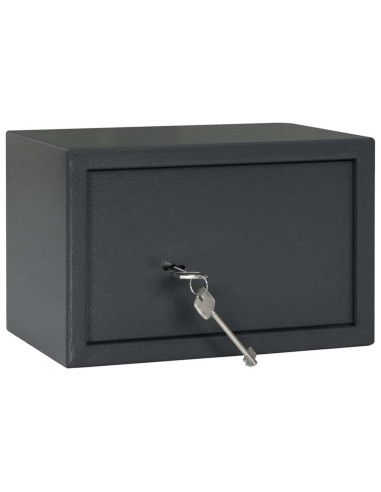 Cassaforte con blocco Grigio scuro 31 x 20 x 20 cm Acciaio
