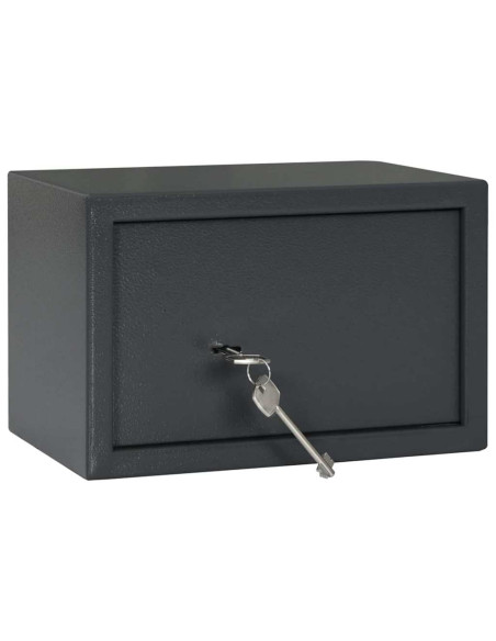 Cassaforte con blocco Grigio scuro 31 x 20 x 20 cm Acciaio