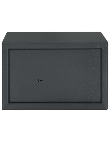 Cassaforte con blocco Grigio scuro 31 x 20 x 20 cm Acciaio