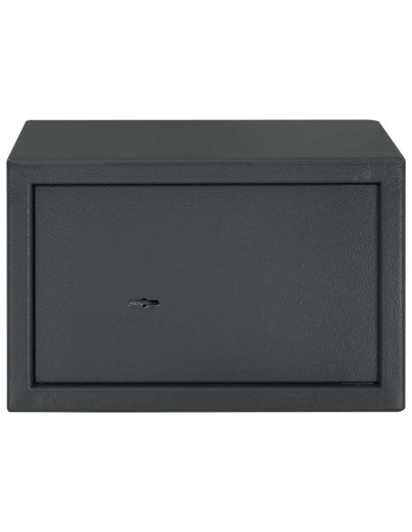 Cassaforte con blocco Grigio scuro 31 x 20 x 20 cm Acciaio