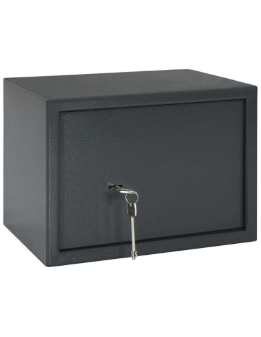 Cassaforte con blocco Grigio scuro 35 x 25 x 25 cm Acciaio