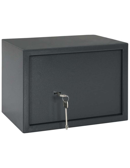 Cassaforte con blocco Grigio scuro 35 x 25 x 25 cm Acciaio