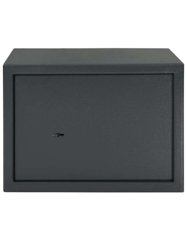 Cassaforte con blocco Grigio scuro 35 x 25 x 25 cm Acciaio