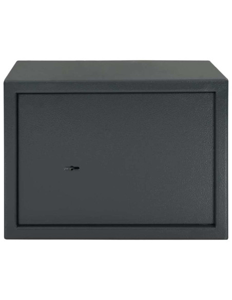 Cassaforte con blocco Grigio scuro 35 x 25 x 25 cm Acciaio
