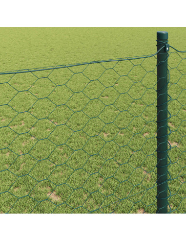 Recinzione Esagonale Verde 0,8 x 10 m PVC