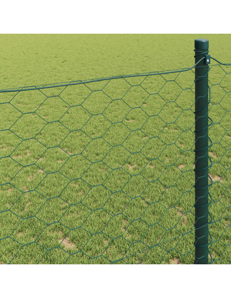 Recinzione Esagonale Verde 0,8 x 10 m PVC