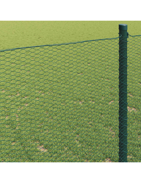 Recinzione Esagonale Verde 1,6 x 10 m PVC
