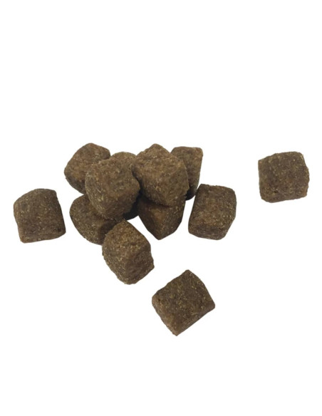 Cibo Secco Cani Premium Adult Active Chicken & Fish 2 pz 30 kg