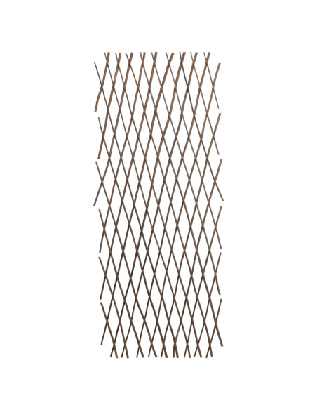 Recinzione a Traliccio in Salice 5 pz 180x120 cm
