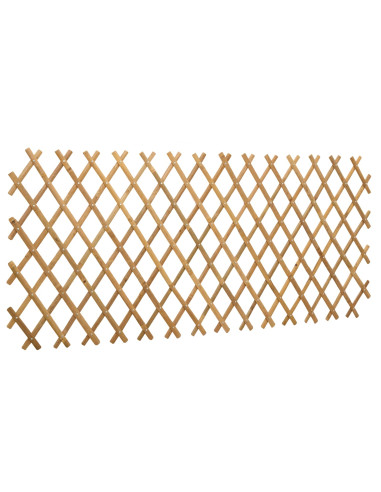 Recinto Trellis Espandibile 2 pcs Marrone Chiaro 100 x 105 cm