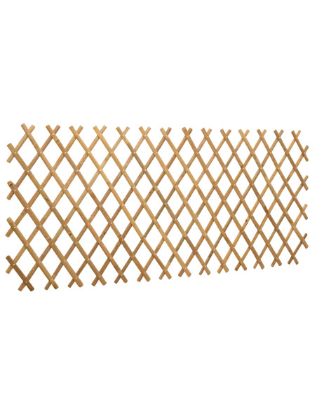 Recinto Trellis Espandibile 2 pcs Marrone Chiaro 100 x 105 cm